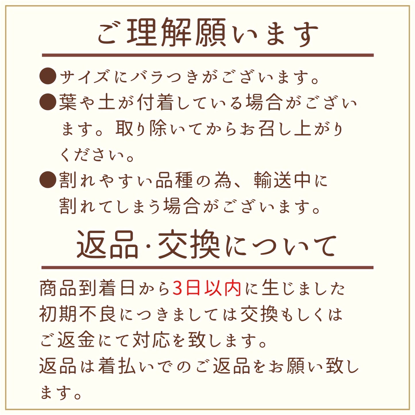 【期間限定】ひとみにんじん 約1.5kg(10本前後) 青森県産 2022年産 送料無料 無農薬 産地直送 国産 野菜 健康 ニンジン