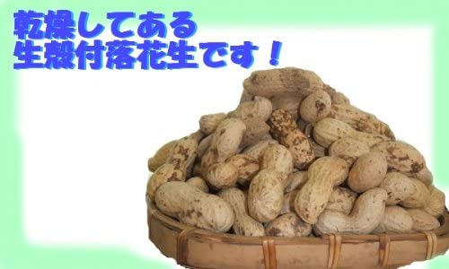 未調理なまから付落花生(ナカテユタカ)500g×3個セット 千葉県産八街落花生