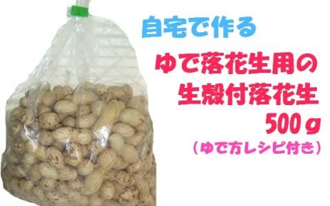 未調理なまから付落花生(ナカテユタカ)500g×3個セット 千葉県産八街落花生