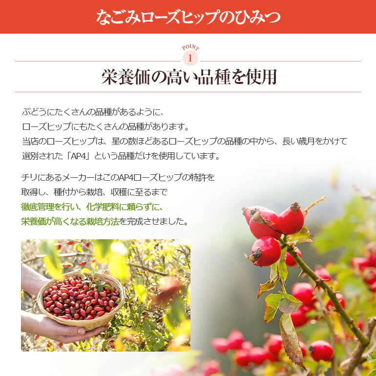 有機JAS オーガニック・ローズヒップ お試し 20g 【 ローズヒップティー  茶葉 ハーブティー リーフティー ノンカフェイン ハーブ ドライハーブ お茶 ファインカット 】
