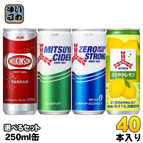 ウィルキンソン 三ツ矢サイダー 250ml 缶 選べる 40本 (20本×2) アサヒ 〔炭酸飲料〕