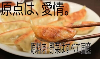 【信州餃子×野沢菜漬】野沢菜餃子30個×2パック　ぎょうざ / ギョーザ / 餃子 / 国産肉 / 国産野菜 / 冷凍餃子 / 野沢菜漬け / 漬物 / つけもの /  総菜 / 冷凍食品 / 信州名物 / にんにく不使用 / 水城漬物工房 / コラボ / 限定 / 限定商品 / 送料無料 / ご当地 / 信州産 / 長野県 / 新規出店【特産品・ご当地特集】