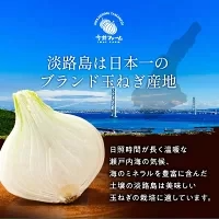 【超シェア買い祭】【送料無料】淡路島玉ねぎ 3キロ［Sサイズ～2Lサイズお任せ］＃訳ありたまねぎ3kg＃