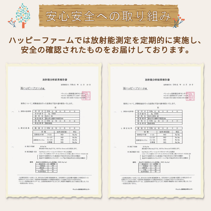 なめこ栽培キット×4　福島県産　家庭栽培・自由研究* (クール便)
