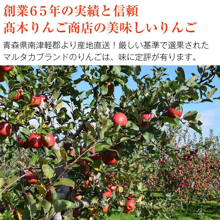 サンふじ 3kg 青森県産 秀A CA貯蔵 産地直送 高木商店 マルタカ りんご 林檎 リンゴ 産直 常温便