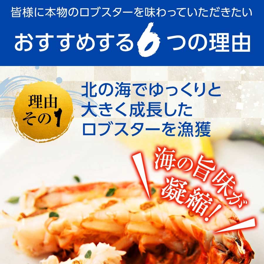 ロブスター オマール海老 ボイル 550g エビ BBQ バーベキュー 贈り物