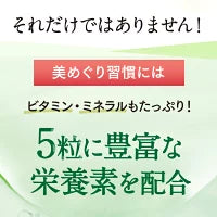 さくらの森 美めぐり習慣 ヘム鉄 鉄分 サプリ 貧血 葉酸 貧血サプリ 葉酸サプリ ヘム鉄サプリ 鉄剤 健康食品 男性 疲れ 女性 ビタミン サプリメント ビタミンc 美巡り習慣 冷え性 生理不順 鉄分補給 鉄 鉄分サプリメント ビタミンb12 ビタミンb6 栄養機能食品 日本製