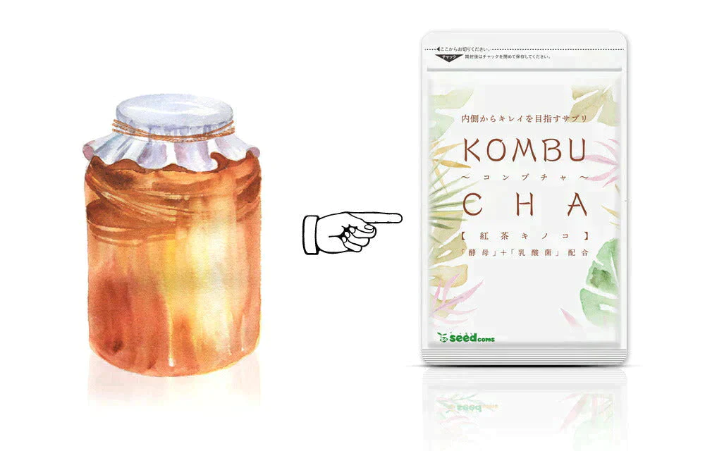 【超得ハイパーSALE】コンブチャ（KOMBUCHA）約1ヶ月分 酵素 コンブチャ  ダイエット サプリ コンブチャ   美容 健康 送料無料 30日分 乳酸菌 美容成分 紅茶キノコ 酵母 ビタミンD 葉酸 ビタミンC ビタミンB  大豆ペプチド