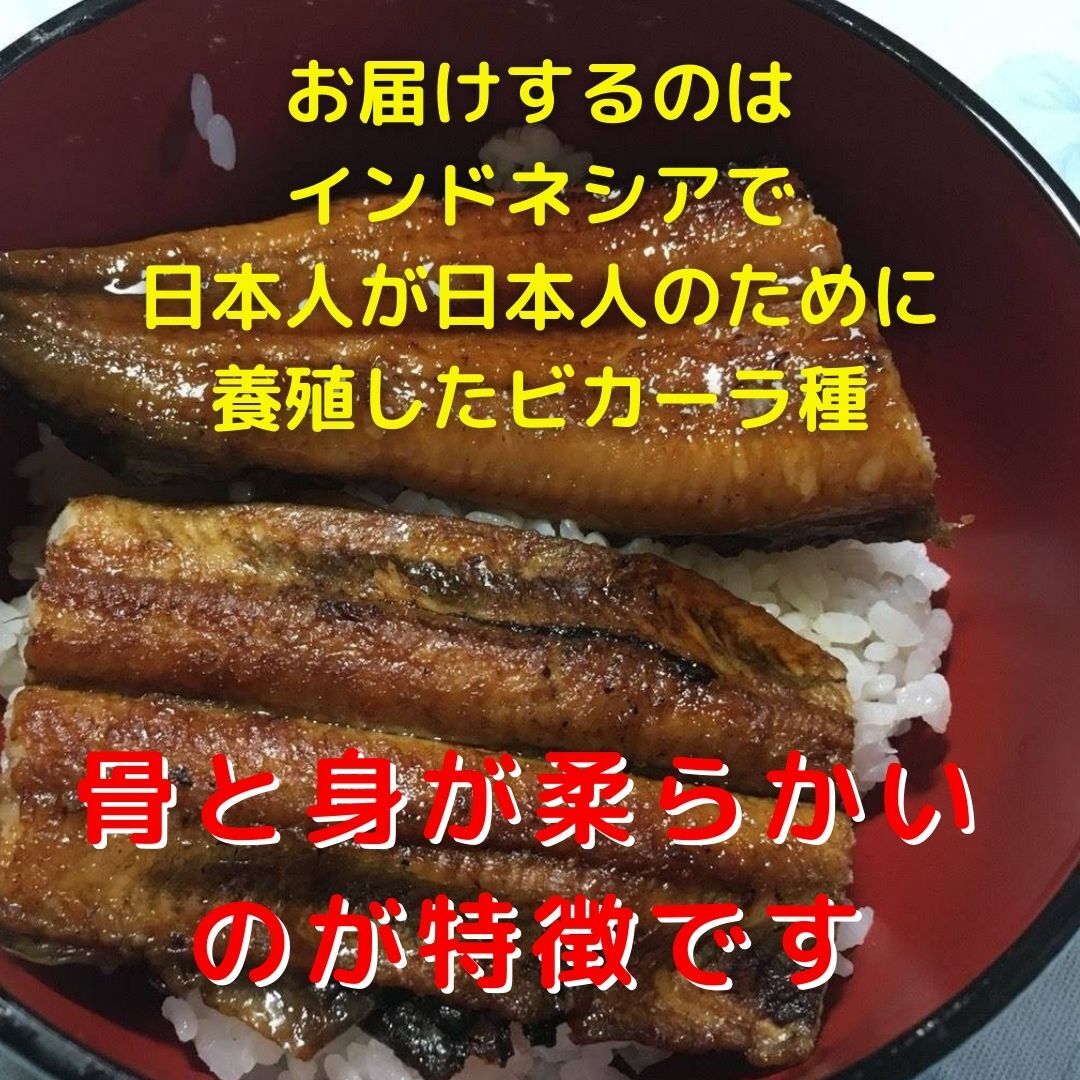 ２尾セット うなぎ真空冷凍 無投薬 インドネシア産 蒲焼