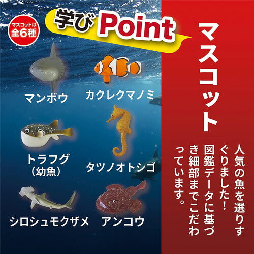 【定形外郵便OK】学研の図鑑ライブ 魚バスボール GKN-7-01 入浴剤