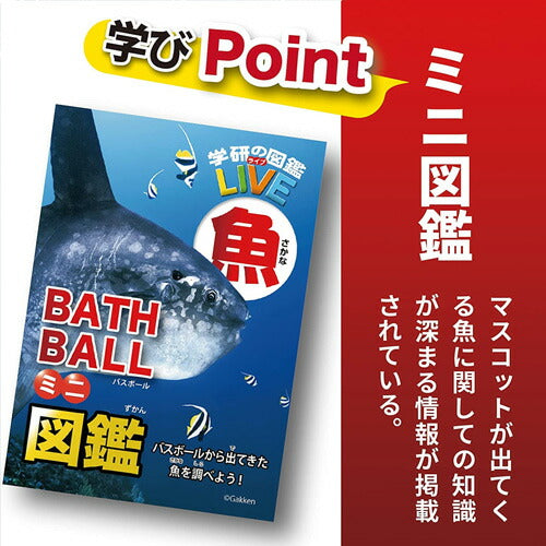 【定形外郵便OK】学研の図鑑ライブ 魚バスボール GKN-7-01 入浴剤