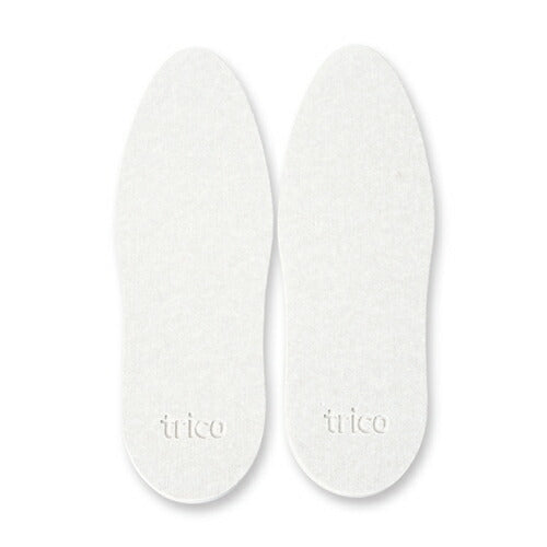 【メール便 送料無料】trico 珪藻土シューズドライプレート グレー 除湿 消臭