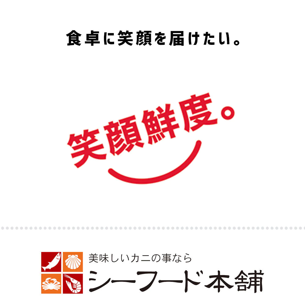 500g 大粒ホタテ 貝柱 北海道産