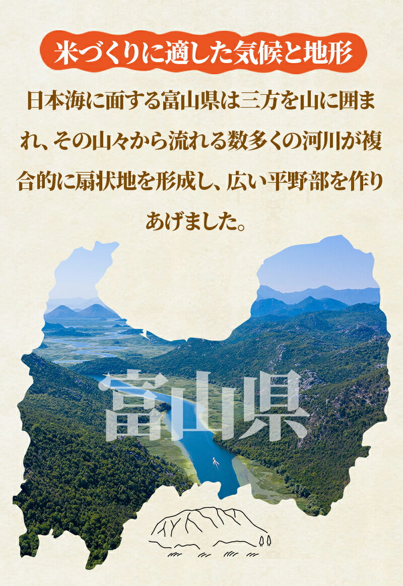 10/5まで全品P3倍 【送料無料＆精米無料】【一等米】【選べる精米】【令和4年産】富山県産 コシヒカリ 玄米 15kgバレンタイン ギフト 贈り物 上白米 標準精米 ７分づき精米 ５分づき精米 ３分づき精米 玄米 米ぬか 米 コメ こめ