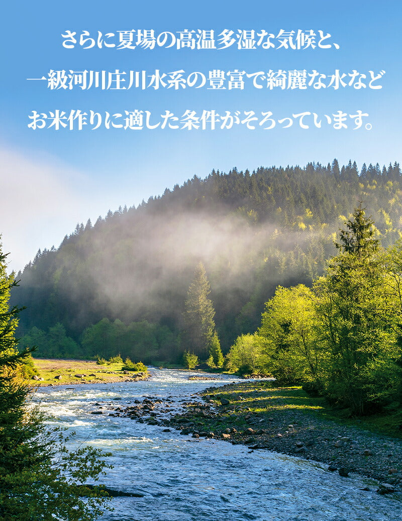 10/5まで全品P3倍 【送料無料＆精米無料】【一等米】【選べる精米】【令和4年産】富山県産 コシヒカリ 玄米 15kgバレンタイン ギフト 贈り物 上白米 標準精米 ７分づき精米 ５分づき精米 ３分づき精米 玄米 米ぬか 米 コメ こめ