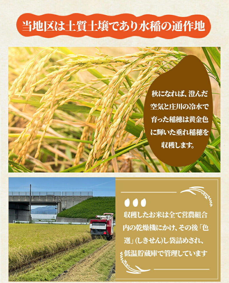 10/5まで全品P3倍 【送料無料＆精米無料】【一等米】【選べる精米】【令和4年産】富山県産 コシヒカリ 玄米 15kgバレンタイン ギフト 贈り物 上白米 標準精米 ７分づき精米 ５分づき精米 ３分づき精米 玄米 米ぬか 米 コメ こめ