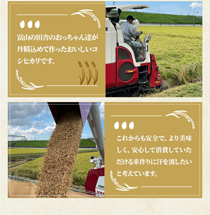 【送料無料＆精米無料】【選べる精米】【令和4年産】【一等米】富山県産 コシヒカリ 玄米 20kg【本州(一部地域を除く)は送料無料】バレンタイン ギフト 贈り物 上白米 標準精米 ７分づき精米 ５分づき精米 ３分づき精米 玄米 米ぬか 米 コメ こめ