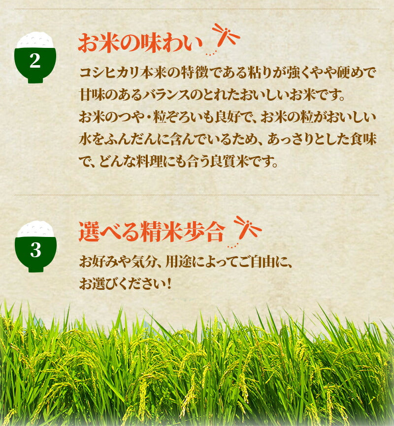 10/5まで全品P3倍 【送料無料＆精米無料】【一等米】【選べる精米】【令和4年産】富山県産 コシヒカリ 玄米 15kgバレンタイン ギフト 贈り物 上白米 標準精米 ７分づき精米 ５分づき精米 ３分づき精米 玄米 米ぬか 米 コメ こめ