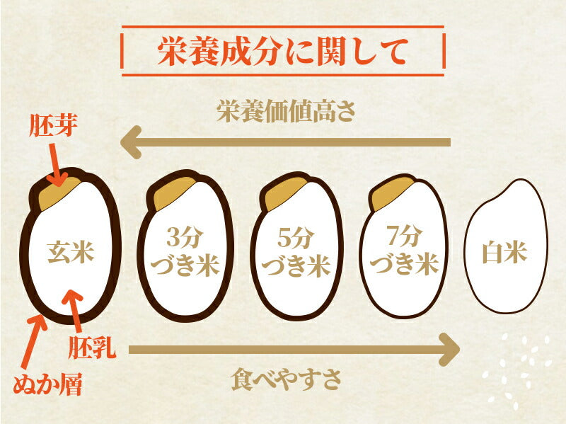 10/5まで全品P3倍 【送料無料＆精米無料】【一等米】【選べる精米】【令和4年産】富山県産 コシヒカリ 玄米 10kgバレンタインギフト 贈り物 上白米 標準精米 ７分づき精米 ５分づき精米 ３分づき精米 玄米 米ぬか 米 コメ こめ