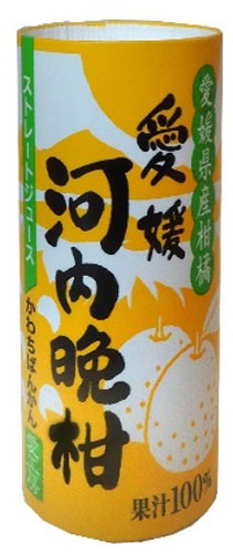 愛工房 河内晩柑 125ml カート缶 30本入
