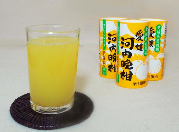 愛工房 河内晩柑 125ml カート缶 60本 (30本入×2 まとめ買い)