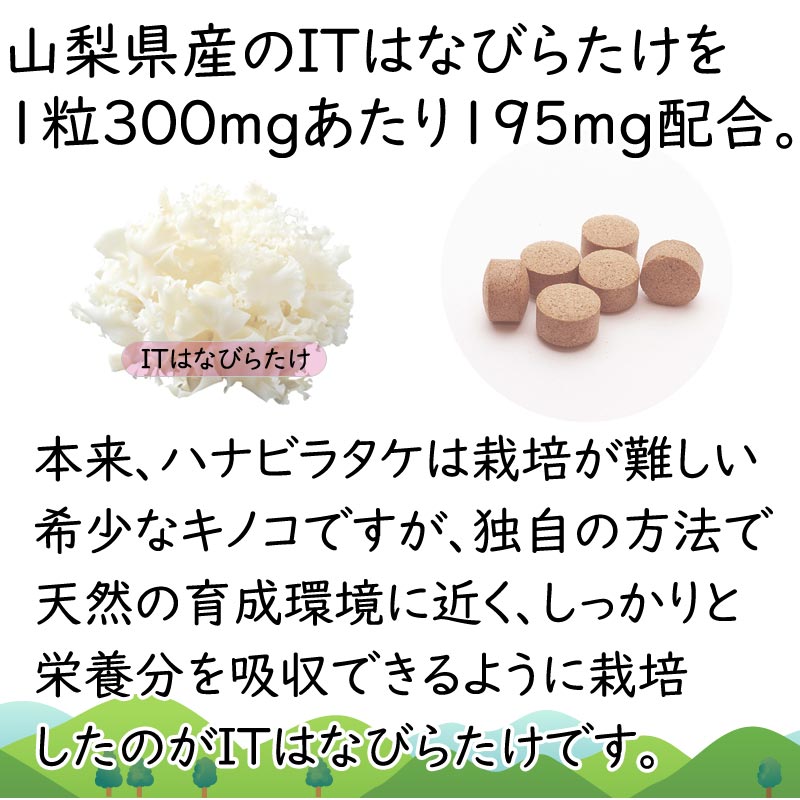 〔P〕はなびらたけ Plus C 120粒