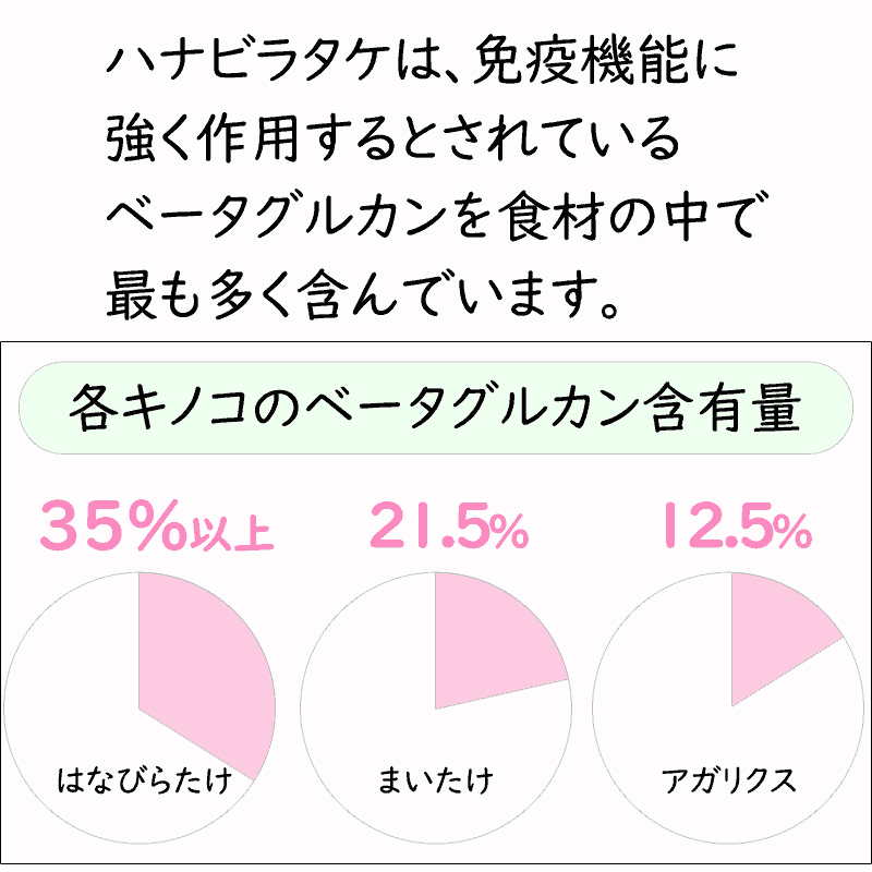 〔P〕はなびらたけ Plus C 120粒