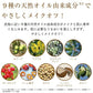 リッツ リバイバル リッチ クレンジング ウォッシュ 150g 洗顔