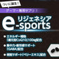 【メール便 送料無料】リジェネシアeスポーツ ゲーマー専用サプリ コエンザイムQ10