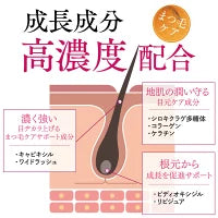 まつげ美容液 まつ毛美容液 伸びる 育毛 睫毛 トリートメント まつ毛 まつげ エイジング 目元ケア 低刺激 ディアモスト アイラッシュ 眉毛美容液 美容液 無添加 アルコールフリー ラッシュ エマーキッド ダメージケア ラッシュアディクト エグータム まつ育 高級 さくらの森