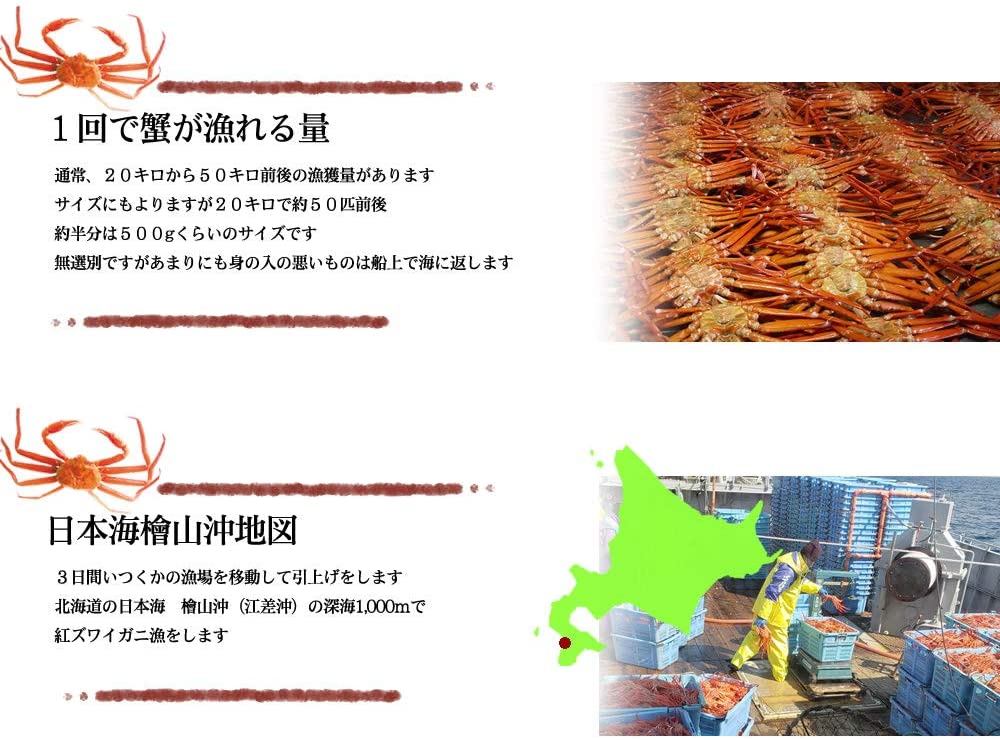 【北海道直送】国産冷凍 ボイル済 紅ズワイガニ姿 3杯セット (約1.5~2kg) A品 2022年新物 第七十八宝樹丸 松田船長 漁師さん応援キャンペーン 3杯入×1箱 冷凍品 国産無添加【エコ得リリースSALE】