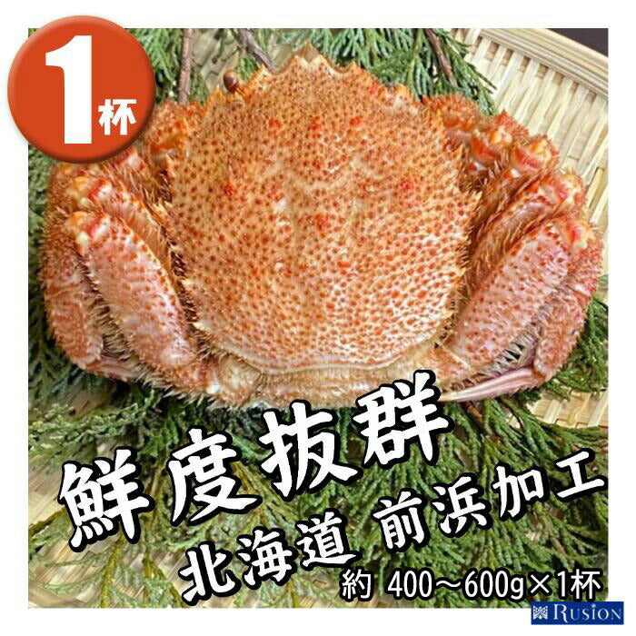 【北海道直送】国産原料 訳あり 冷凍ボイル 上若毛ガニ (中) 1杯 (約400-600g)×1杯 北海道加工 鮮度抜群 ボイル済 冷凍品