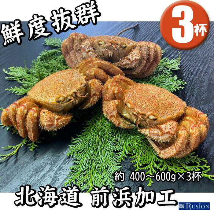 【北海道直送】国産原料 訳あり 冷凍ボイル 上若毛ガニ (中) 3杯 (約400-600g)×3杯 北海道加工 鮮度抜群 ボイル済 冷凍品