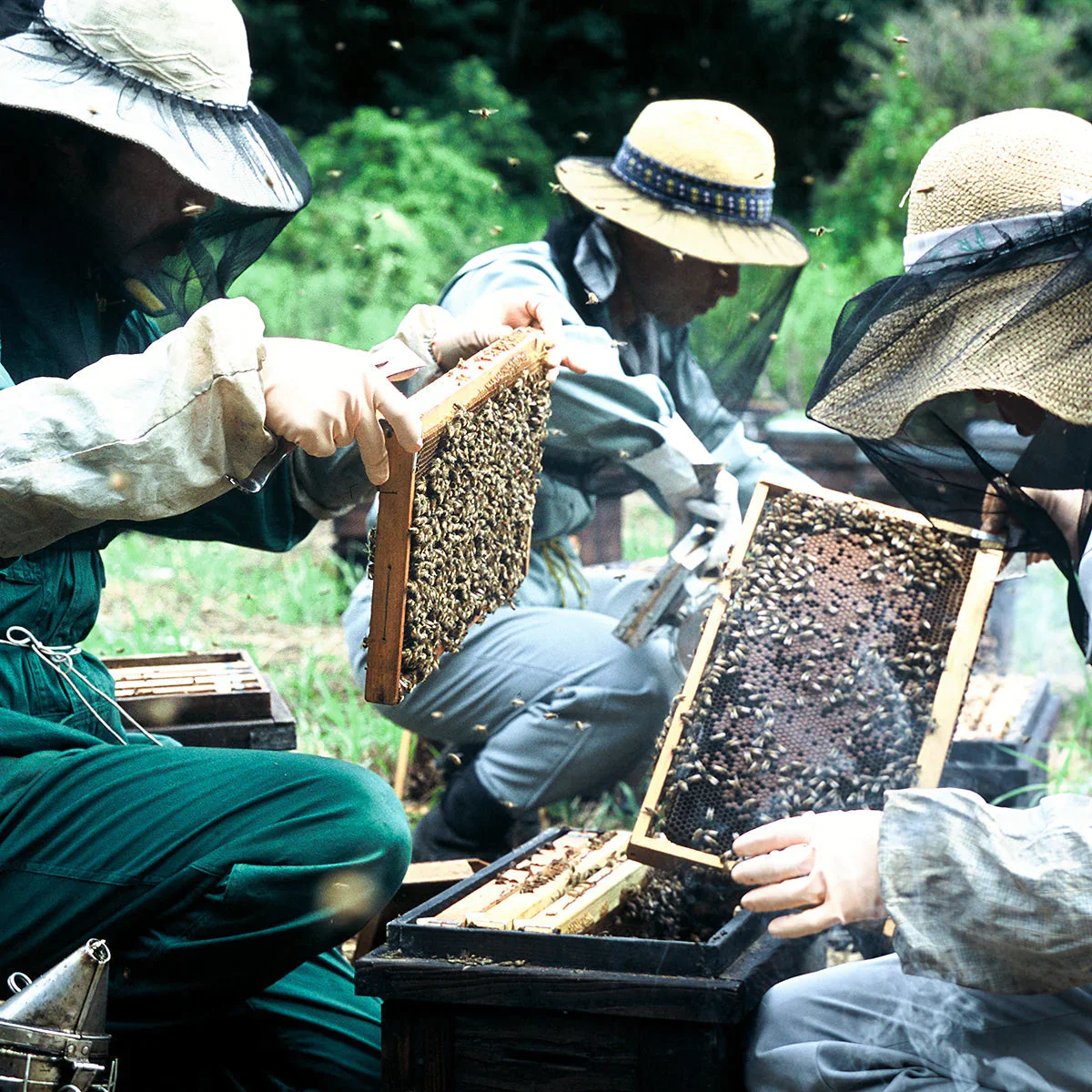 野山みつ 750g　はちみつ　ハチミツ　国産蜂蜜