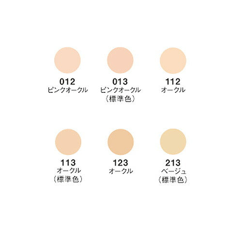 【メール便 送料無料】江原道 マイファンスィー グロス フィルム ファンデーション 013 9g レフィル