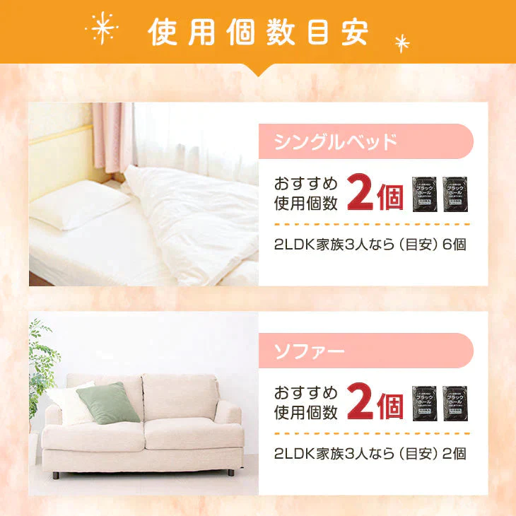 ダニ捕りパック【ブラックホール®】　2個入【ゲリラセール】