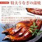 185g～215gｘ5本 特大うなぎ蒲焼 九州産