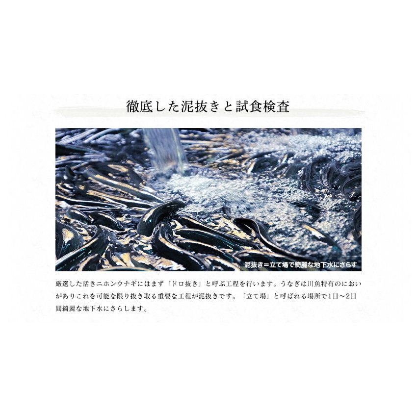 自宅用うなぎ蒲焼き4尾（台湾産）タレ・山椒付セット ますよね監修
