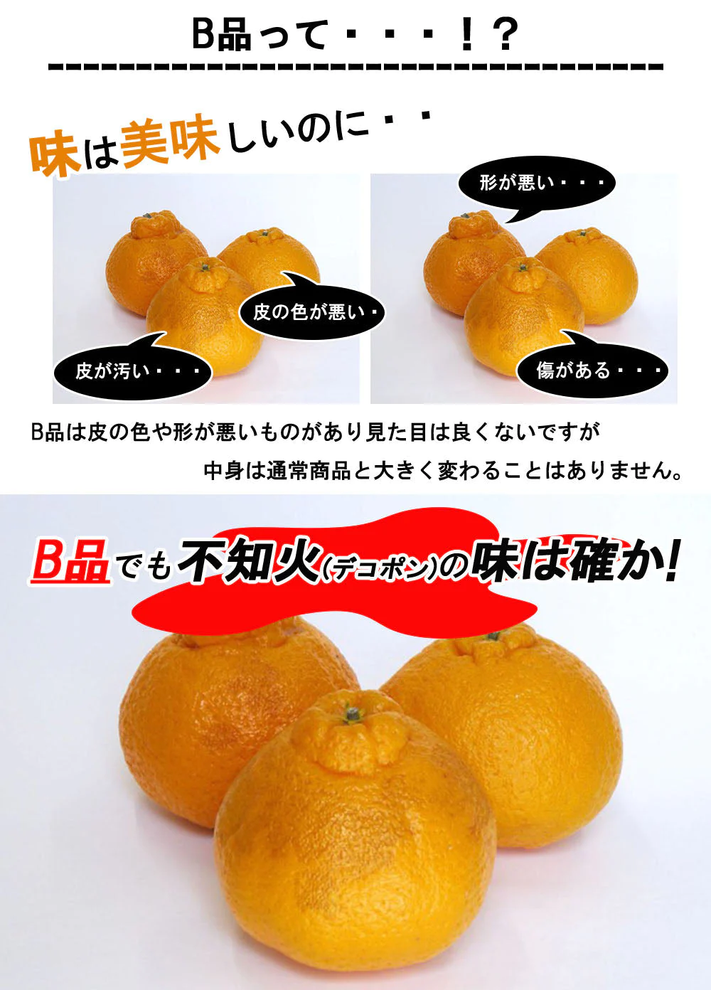 不知火 (デコポン) 訳あり 5kg 送料無料 ご家庭用 箱買い サイズミックス みかん 柑橘 フルーツ 果物 産地直送 愛媛県産  YDF-011