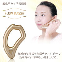 EMS 進化系かっさ 美顔器 フロウカッサ FLOW KASSA かっさ 美顔機 美顔 リフトアップ 顔 エビス化粧品