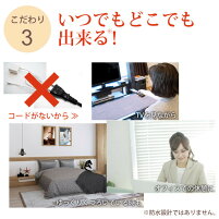 【3人シェア買いでお得】EMS 進化系かっさ 美顔器 フロウカッサ FLOW KASSA かっさ 美顔機 美顔 リフトアップ 顔 エビス化粧品