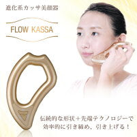 【3人シェア買いでお得】EMS 進化系かっさ 美顔器 フロウカッサ FLOW KASSA かっさ 美顔機 美顔 リフトアップ 顔 エビス化粧品