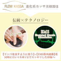 【3人シェア買いでお得】EMS 進化系かっさ 美顔器 フロウカッサ FLOW KASSA かっさ 美顔機 美顔 リフトアップ 顔 エビス化粧品
