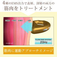 【3人シェア買いでお得】EMS 進化系かっさ 美顔器 フロウカッサ FLOW KASSA かっさ 美顔機 美顔 リフトアップ 顔 エビス化粧品