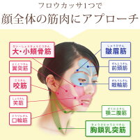 【3人シェア買いでお得】EMS 進化系かっさ 美顔器 フロウカッサ FLOW KASSA かっさ 美顔機 美顔 リフトアップ 顔 エビス化粧品