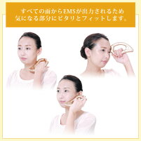 【3人シェア買いでお得】EMS 進化系かっさ 美顔器 フロウカッサ FLOW KASSA かっさ 美顔機 美顔 リフトアップ 顔 エビス化粧品
