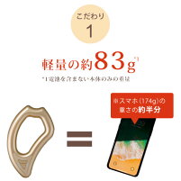 【3人シェア買いでお得】EMS 進化系かっさ 美顔器 フロウカッサ FLOW KASSA かっさ 美顔機 美顔 リフトアップ 顔 エビス化粧品