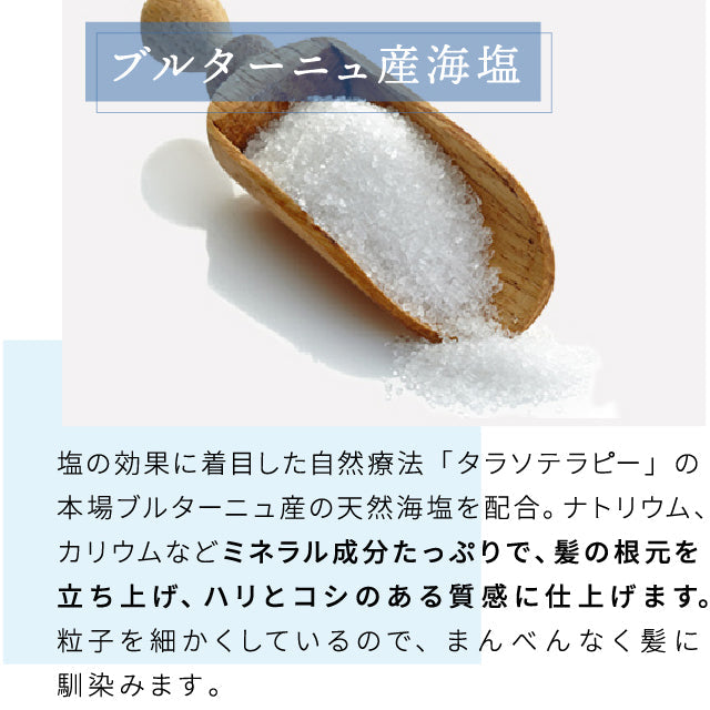 【美容室専売】海塩の力 SIO ボリュームアップスプレー (120g) / アルガンオイル配合 天然由来 根元からしっかり髪が立ち上がる！EARTHEART アースハート