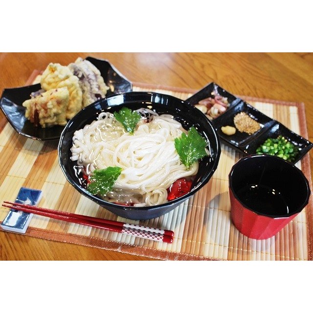 【3人シェア買いでお得】ざるうどん　お取り寄せ　九州ざる饂飩　210g×4袋　たっぷり　約8人前 セット 平打ち麺　つるつるモチモチ食感　熟成うどん麺