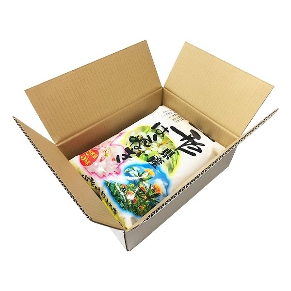 【5人シェア買いで5%OFF】米 10kg 山形産はえぬき 令和3年産 お米 10キロ（本州：送料無料）